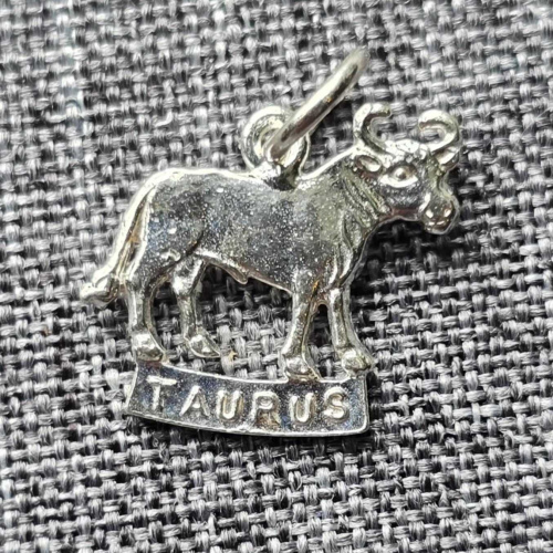 Taurus Charm  