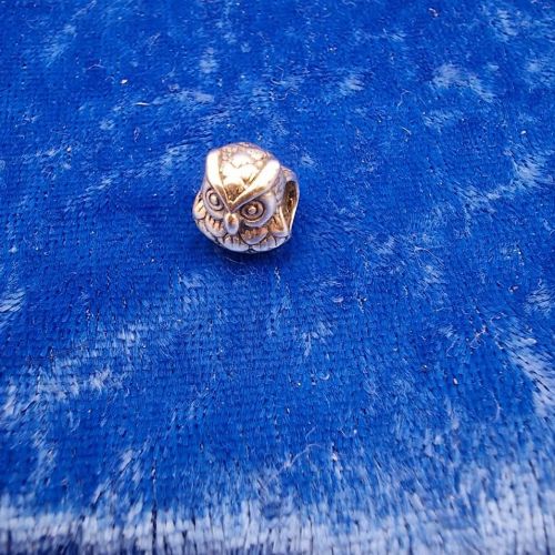 Charm  owl