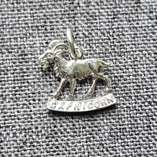 Capricorn Charm 